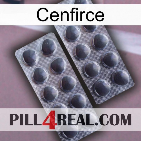 Cenfirce 31.jpg